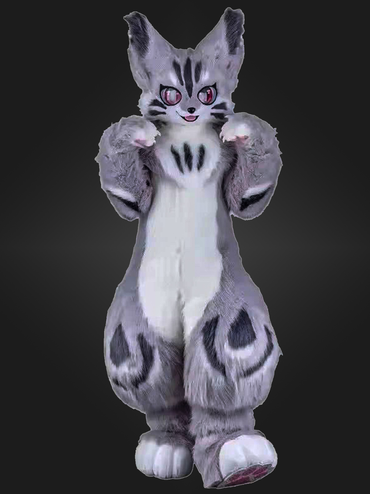 WhatsApp Image 2025-12-26 at 1.46.13 PM