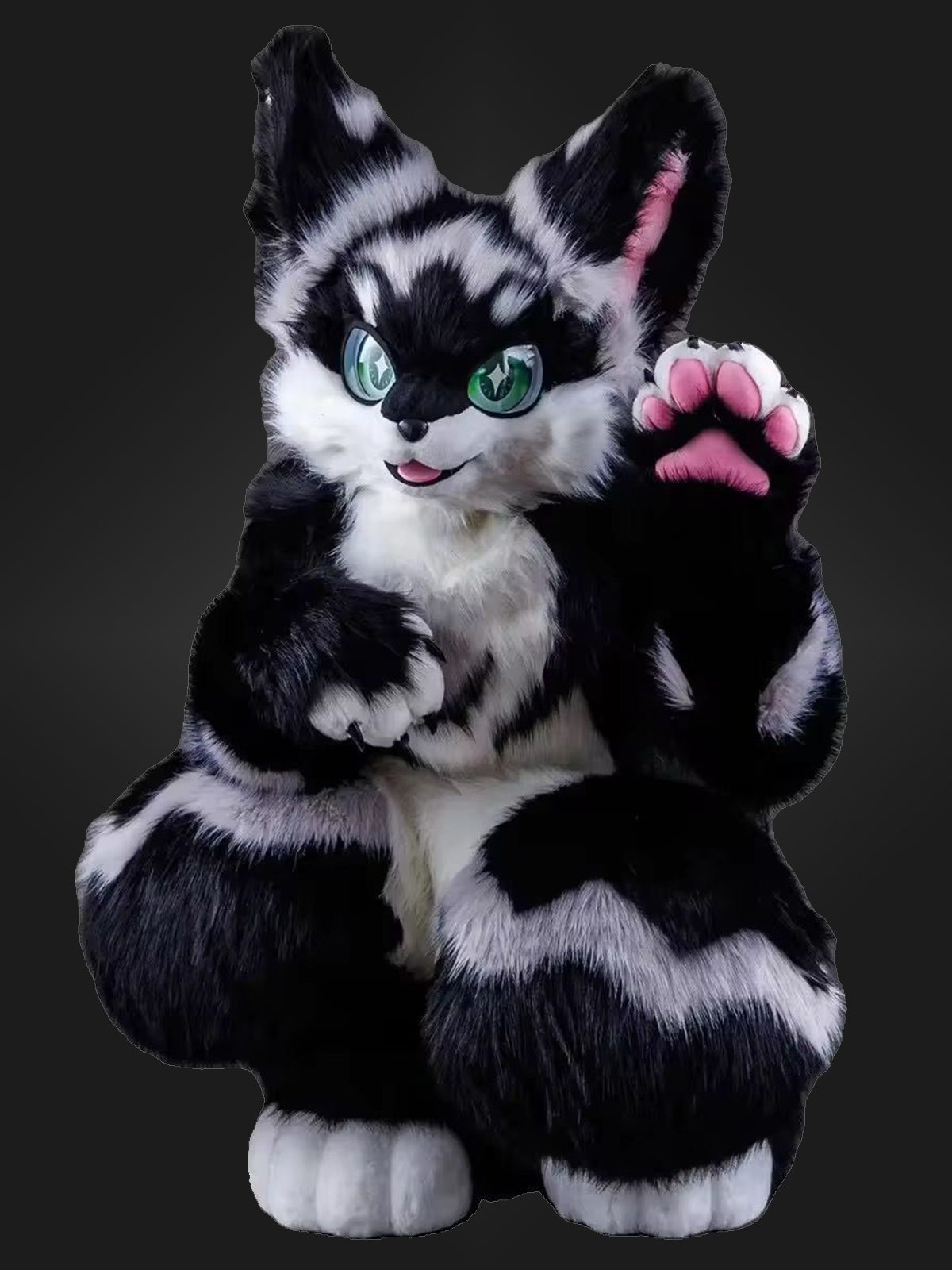 WhatsApp Image 2025-12-26 at 1.46.14 PM