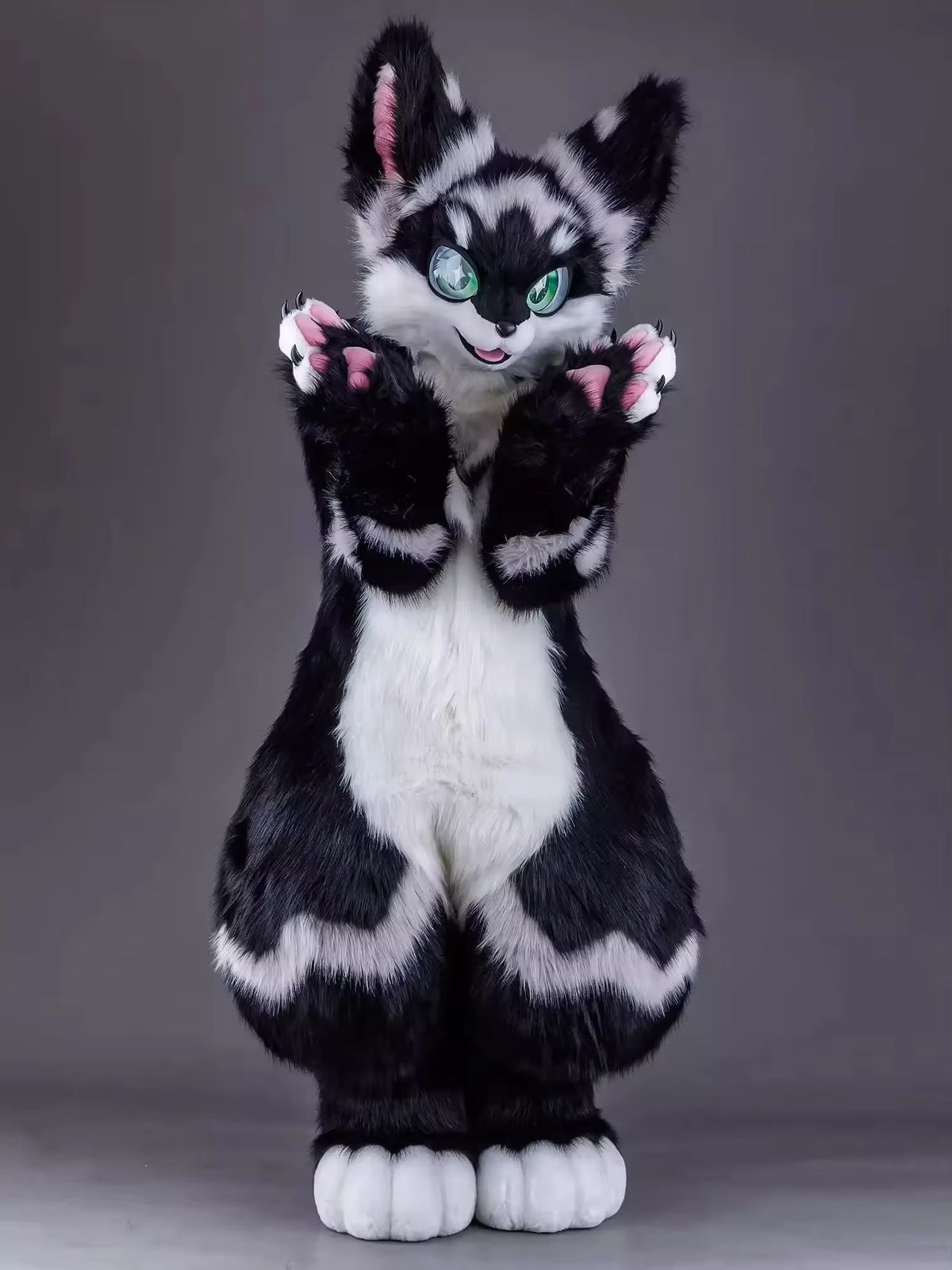 WhatsApp Image 2025-12-26 at 1.46.15 PM